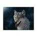 Trademark Fine Art Wolf Canvas Art by Jeff Tift