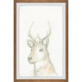 Marmont Hill Printed Animals & Insects Framed Art Prints by Parvez Taj