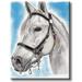 Decorative Horse Picture on Stretched Canvas Wall Art DÃ©cor Ready to Hang