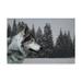 Trademark Fine Art Wolf Portrait Canvas Art by Ron Parker