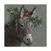 Trademark Fine Art 18x18 Seasonal Canvas Wall Art Mary Beth The Christmas Donkey by Mary Miller Veazie