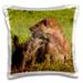 3dRose Spotted hyena Ngorongoro Conservation Area Tanzania. Pillow Case 16 by 16-inch