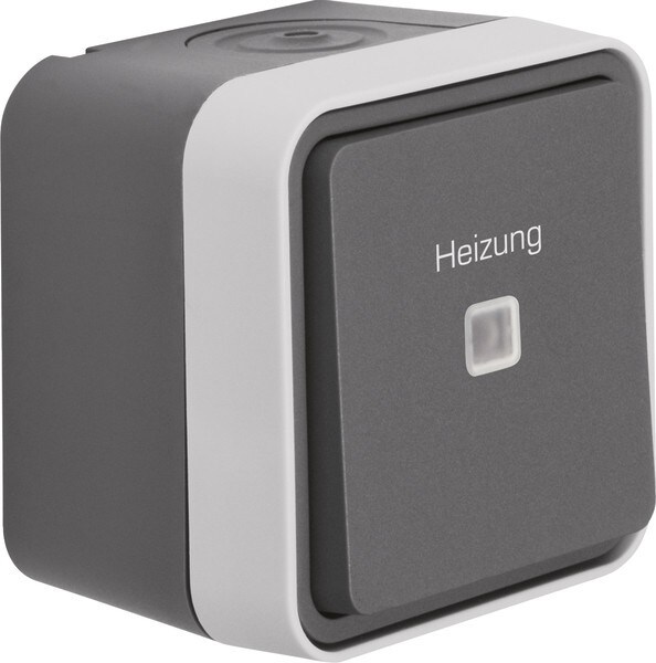 Berker Kontroll-Wechselschalter 35663505 Image