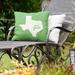 East Urban Home Indoor/Outdoor Throw Pillow Polyester/Polyfill blend in Green | 20 H x 20 W x 3 D in | Wayfair 087EF2A9DF434D4C9D9477FE818928C6