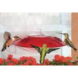 Droll Yankees Window Hummer 3 Hummingbird Feeder with 2 Ports