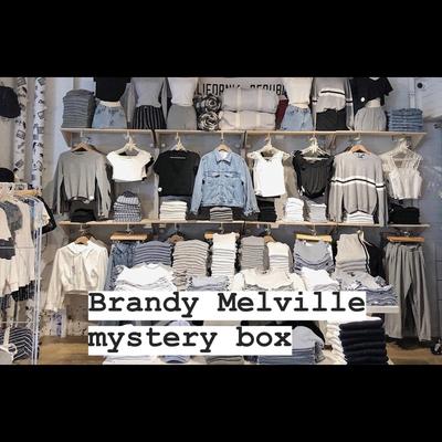 Brandy Melville Other | Brandy Melville Mystery Box (Used) | Color: White/Silver | Size: Os