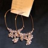 Anthropologie Jewelry | *Host Pick* Rosegold Oval Hoop Earrings *New* | Color: Cream | Size: Os