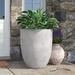 Birch Lane™ Renegade Erhard Fiberglass Pot Planter Composite/Fiberglass in White | 24 H x 20.5 W x 20.5 D in | Wayfair