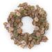 Primrue Eucalyptus 22" Polyester Wreath in Brown/Green | 22 H x 22 W x 6 D in | Wayfair E80202C3602E4F79800AC468F734944F