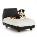 Lido Orthopedic Dog Bed, 22" L X 29" W X 18" H, Ivory, Medium, White