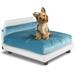 Lido Orthopedic Dog Bed, 22" L X 29" W X 18" H, Aqua, Medium, Blue