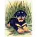 Winston Porter Rottweiler & Flowers Glass Cutting Board Glass | 0.15 H x 15.38 W x 11.25 D in | Wayfair EFDAACF6BE614E60B8270A0F3CC59659