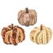 The Holiday Aisle® Rustic Pumpkins | 3.9 H x 3.9 W x 12.2 D in | Wayfair 5785E1904BE54B51BB92B761920D9F34