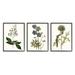 Stupell Industries Vintage Blue Botanical Flowers on Beige by Curtis - 3 Piece Graphic Art Print Set Wood in Brown | 20 H x 16 W x 1.5 D in | Wayfair