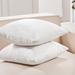 Everly Quinn Nicoletti Square Velvet Pillow Cover Velvet in White | 24 H x 24 W x 1 D in | Wayfair A88D685295984EB19BFF42C642F68865