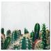 Oliver Gal Cactus Family Botanicals - Graphic Art on Canvas in Green/White | 16 H x 16 W x 1.5 D in | Wayfair 21266_16x16_CANV_XHD