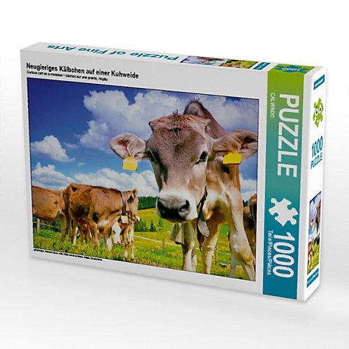Puzzle Neugieriges Kälbchen auf einer Kuhweide Foto-Puzzle Bild von CALVENDO Verlag