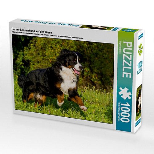 Puzzle Berner Sennenhund auf der Wiese Foto-Puzzle Bild von SiSta-Tierfoto Puzzle