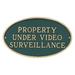 Red Barrel Studio® Bogdans Property Under Video Surveillance Statement Garden Plaque Metal | 6 H x 18 W x 0.25 D in | Wayfair
