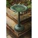 Fleur De Lis Living Ahrens Lightweight Plastic Flower Design Birdbath Plastic in Green | 33.86 H x 19.69 W x 19.69 D in | Wayfair