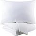AllModern Kenna Linen Blend Duvet Cover Set Linen in White | Full/Queen Duvet Cover + 2 Shams | Wayfair 79C3099982A0458D9CE0126E209AD3FB
