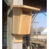 Union Rustic Hortencia Sparrow Resistant Bluebird House Wood in Brown | 15 H x 8 W x 9 D in | Wayfair 74DA7D0C1F154E8388D6C5C95B12A2BA