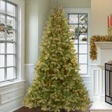 The Holiday Aisle® Customizable Christmas Tree & Garland Set Fir w/ Clear Lights in White | 7.5' | Wayfair 47C0FEFD4C7C4D46B430E330035A683F