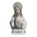 The Holiday Aisle® Anise Sacred Heart of Jesus Bust Porcelain/Ceramic in Brown | 9 H x 4 W x 2 D in | Wayfair 06F8D033887249F4A3AB8F9F9E042831