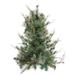 Northlight Seasonal 3' X 28" Country Mixed Pine Artificial Christmas Wall Or Door Tree - Unlit in Green | 36 H x 28 W in | Wayfair