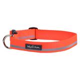 Strolls Collar in Reflective Neon Orange for Dogs, Small