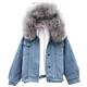 LAEMILIA Women's Denim Jeans Trucker Jacket Sherpa Fleece Lined Faux Fur Trim Hood Warm Coat (White Gray, 16)