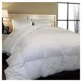 White Noise All Season Polyester Down Alternative Comforter whitePolyester | 88 H x 68 W x 2 D in | Wayfair ANEW1009 37319744