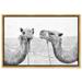 Union Rustic Animals Camel Best Friends Desert Landscapes - Floater Frame Graphic Art Print on Canvas in White | 24 H x 36 W x 1.5 D in | Wayfair