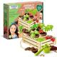 Clementoni Science et Game – Garten und Gemüsegarten – Play For Future – Wissenschaftsspiel – Botanisches Spiel für Kinder – französische Version, hergestellt in Italien, ab 7 Jahren, mehrfarbig, 34 x