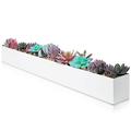 Modern Rectangle Planter Box - 32" Metal Planter Ideal as a Long Succulent Planter | Rectangular Planter Box for Table or Window Sill Planters Indoor | Trough Planter for Indoor Window Planter | White