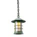 Arroyo Craftsman Newport 1-Light Outdoor Hanging Lantern Glass/Metal in Gray/Brown | 12 H x 9.25 W x 9.25 D in | Wayfair NH-9TN-RC