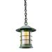 Arroyo Craftsman Newport 1-Light Outdoor Hanging Lantern Glass/Metal in Yellow/Black | 12 H x 9.25 W x 9.25 D in | Wayfair NH-9M-AB
