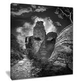 Design Art Mast of Columbine Collage - Wrapped Canvas Photograph Print Canvas in Black/White | 20 H x 12 W x 1 D in | Wayfair PT9212-12-20