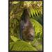 East Urban Home 'Rodrigues Flying Fox Roosting, Michigan' Framed Photographic Print in Brown/Green | 18 H x 12 W x 1.5 D in | Wayfair