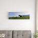 East Urban Home Icelandic Horses in a Field, Svinafell, Iceland by Panoramic Images - Gallery-Wrapped Canvas Giclée Print Canvas in White | Wayfair