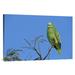 East Urban Home 'Blue-Fronted Parrot Amongst Treetops, Emas National Park, Brazil' Photographic Print Canvas, in Blue/Green | Wayfair