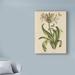 East Urban Home 'Herbal Botany XX Butterfly Crop' Graphic Art Print on Wrapped Canvas in Green | 19 H x 14 W x 2 D in | Wayfair