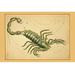 Buyenlarge Scorpio by Aspin Jehosaphat - Unframed Graphic Art Print in Green | 20 H x 30 W x 1.5 D in | Wayfair 0-587-23217-xC2030