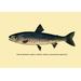 Buyenlarge The Rangeley Trout by H.H. Leonard Graphic Art in Gray | 28 H x 42 W x 1.5 D in | Wayfair 0-587-02299-xC2842