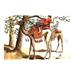 Buyenlarge Troubles w/ a Camel by Richard Simkin Painting Print in Brown/Green/Red | 28 H x 42 W x 1.5 D in | Wayfair 0-587-04580-9C2842