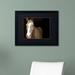 Trademark Fine Art 'Horse Portrait' Framed Photographic Print on Canvas Canvas, Wood | 11 H x 14 W x 0.5 D in | Wayfair EM0529-B1114BMF