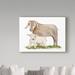 Harriet Bee 'Life on the Farm Animal Element II' Canvas Art Canvas in Brown/Green | 14 H x 19 W in | Wayfair 2DD192A9DFEE4EF595F2DB9DF674B52B