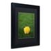 Trademark Fine Art "A Lone Yellow Tulip" by Kurt Shaffer Framed Photographic Print Canvas | 14 H x 11 W x 0.5 D in | Wayfair KS01154-B1114MF