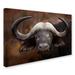 Trademark Fine Art 'A Buffalo Portrait' Photographic Print on Wrapped Canvas Canvas | 12 H x 19 W x 2 D in | Wayfair 1X00258-C1219GG