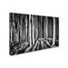 Trademark Fine Art 'Ghost Forest' Graphic Art Print on Wrapped Canvas in Black/Green/White | 12 H x 19 W x 2 D in | Wayfair 1X03220-C1219GG